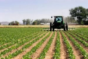 Agriculture