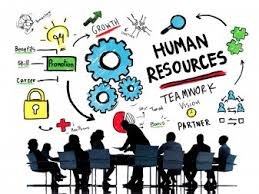 Human resources