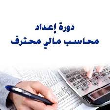 PFA Professional Financial Accountant