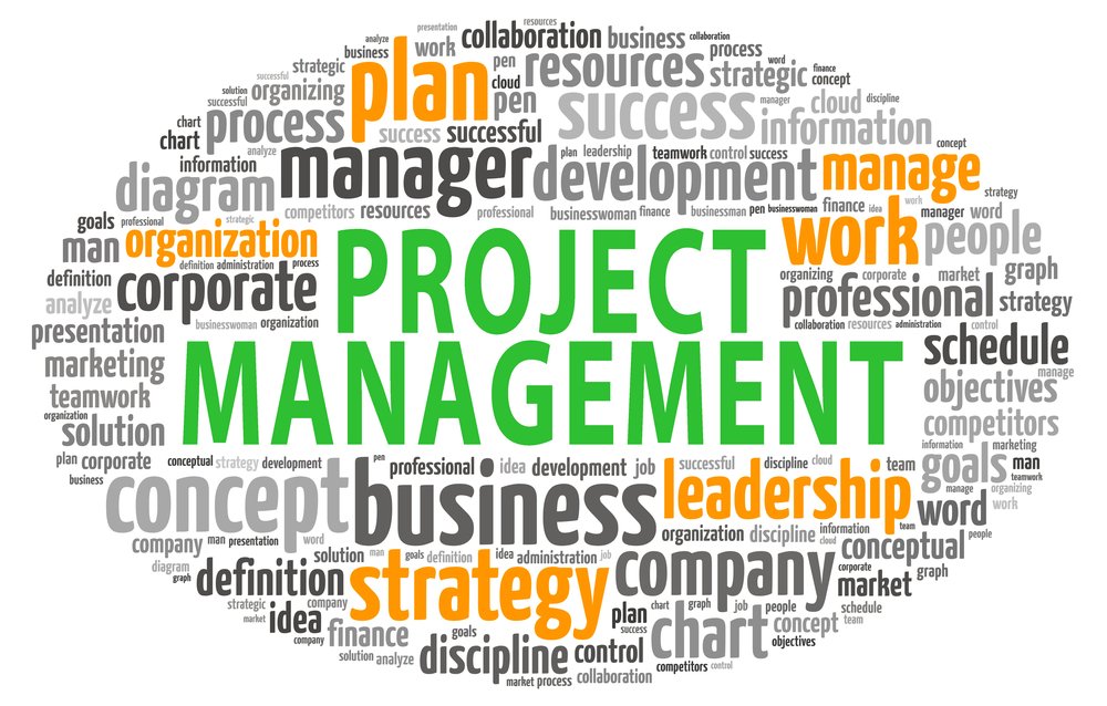 PMP   Project Management Professional