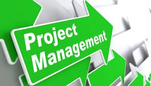  يعنى ايه Pmp ؟