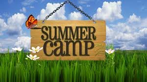 Programming camps in Summer Holidays + workshops training