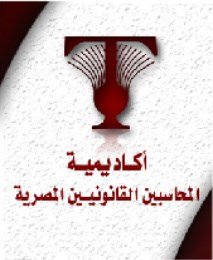 Egyptian academy of accountants