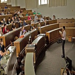 Faculty or Institute